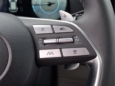 2025 Hyundai Palisade SEL Premium 7P