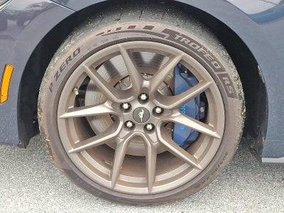 2025 Ford Mustang Dark Horse