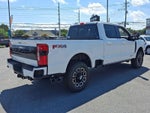 2025 Ford Super Duty F-250 Platinum
