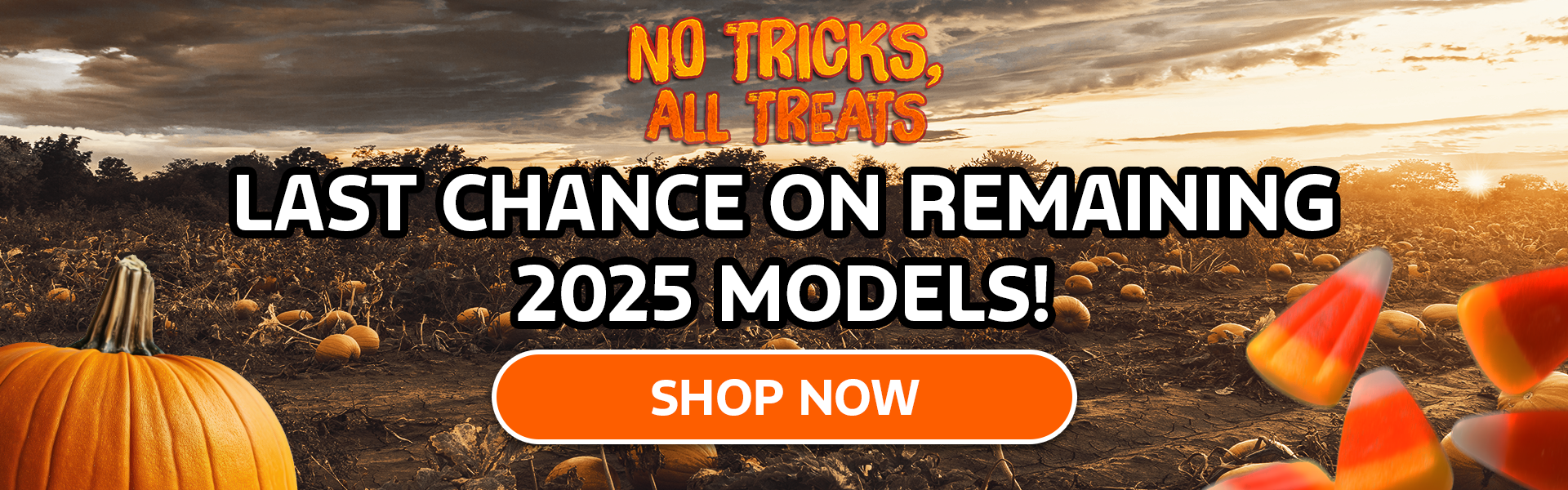 Last Chance on Remaining 2025 Models!