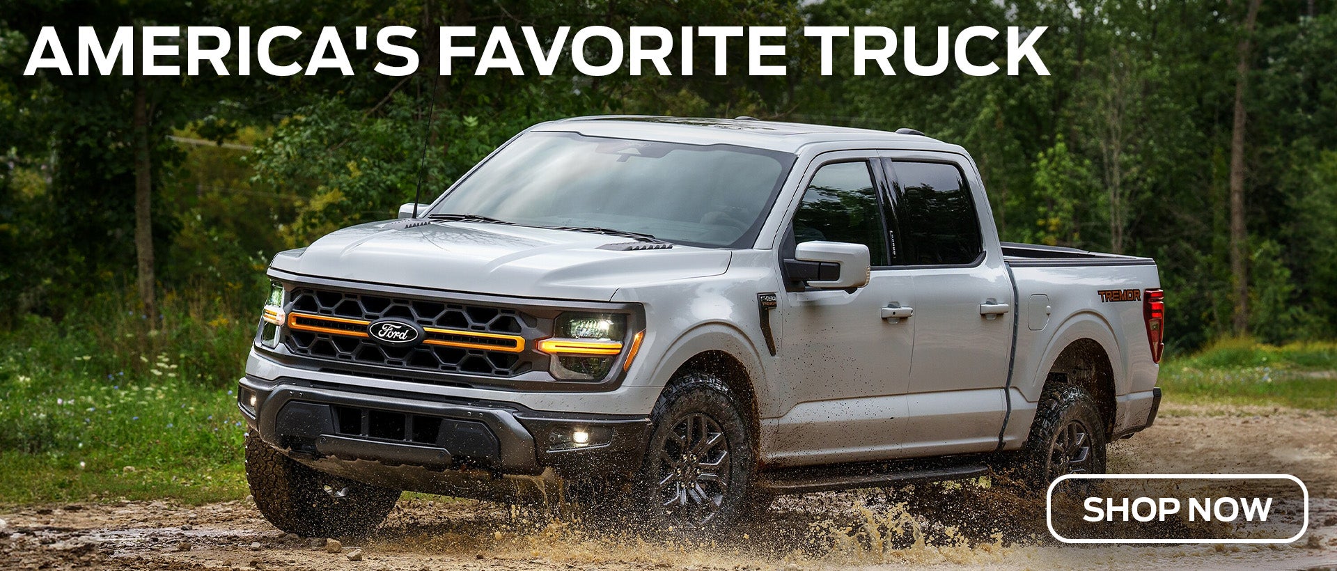 Ford F-150 Millsboro DE